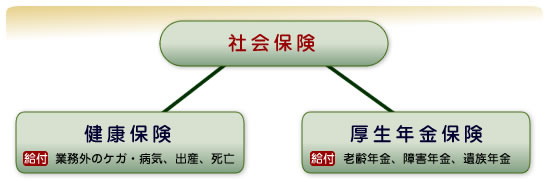 社会保険の各種手続き